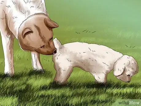 Image titled Introduce a Puppy to a Dog Step 6