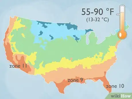 Image titled Grow Mandarin Trees Step 1