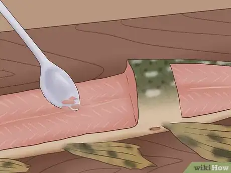 Image titled Clean and Fillet a Northern Pike Step 16