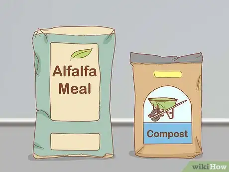 Image titled Plant a Mesquite Tree Step 15