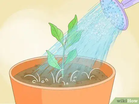 Image titled Plant Roots Step 11