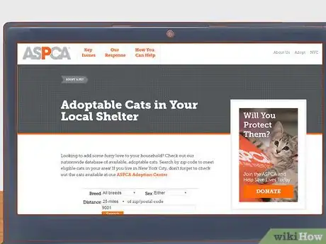 Image titled Celebrate National Cat Day Step 6