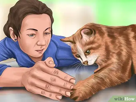 Image titled Reprimand a Pet Step 7