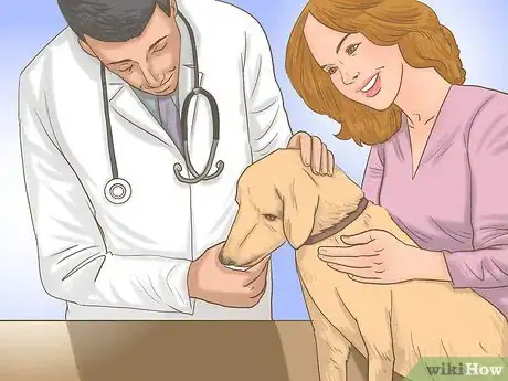 Image titled Get a Dog to Eat Step 6