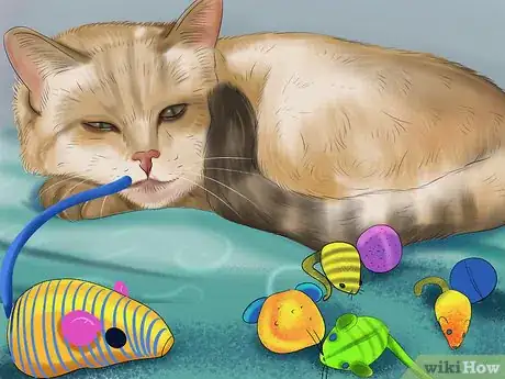 Image titled Diagnose Feline Hepatic Lipidosis Step 5