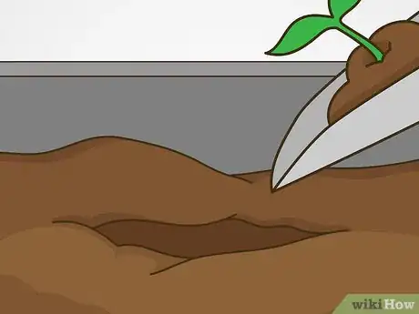 Image titled Grow Vegetables in the Midwest Step 7