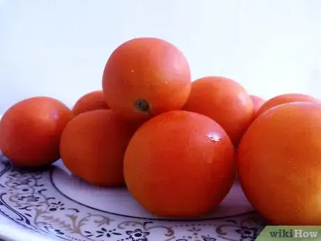 Image titled Make Ketchup Step 1