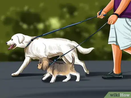 Image titled Introduce a Puppy to a Dog Step 4