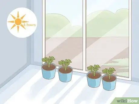 Image titled Grow Food in Winter Step 5