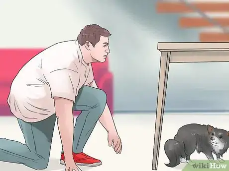 Image titled Fire Drill Train Your Dog Step 11