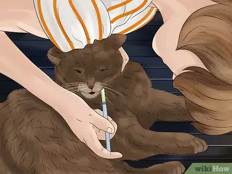 Image titled Give Tricyclic Antidepressants to a Cat Step 14