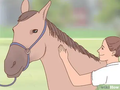 Image titled Overcome Your Fear of Horses Step 3