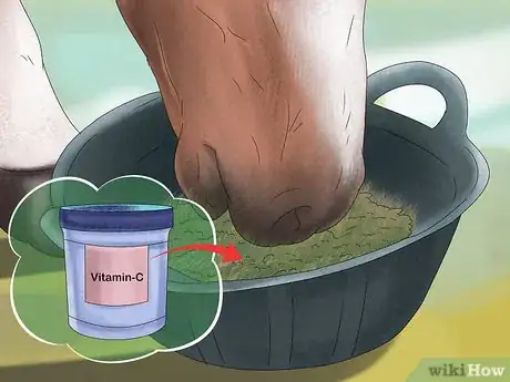 Image titled Give Your Horse the Right Supplements Step 14