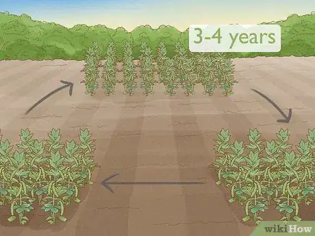 Image titled Reduce the Use of Pesticides in Farming Step 5