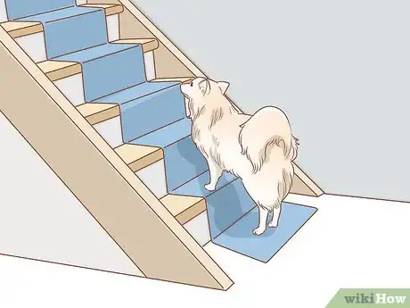 Image titled Help a Dog Overcome Its Fear of Stairs Step 4