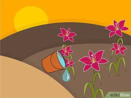 Image titled Grow Stargazer Lilies Step 12