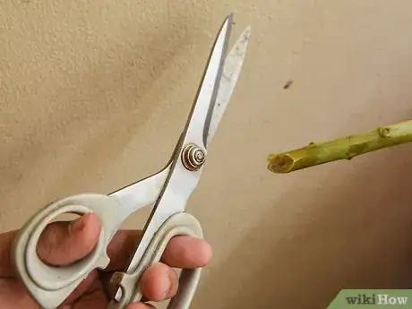 Image titled Arrange a Bouquet of Flowers Step 7