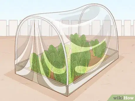Image titled Grow Food in Winter Step 3