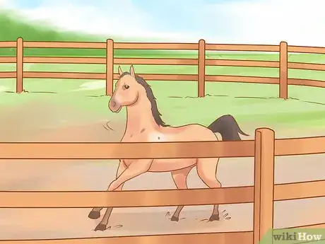 Image titled Pet a Wild Horse Step 2