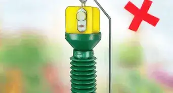 Kill Japanese Beetles