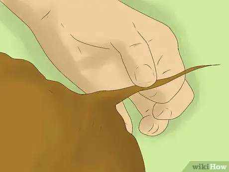 Image titled Groom an Angora Rabbit Step 4