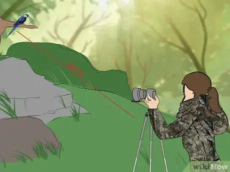 Image titled Photograph a Bird Step 12.jpeg