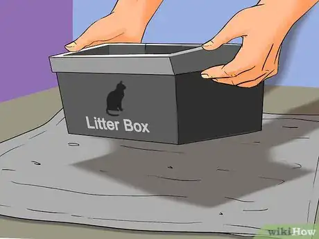 Image titled Prevent Kidney Disease in Cats Step 6