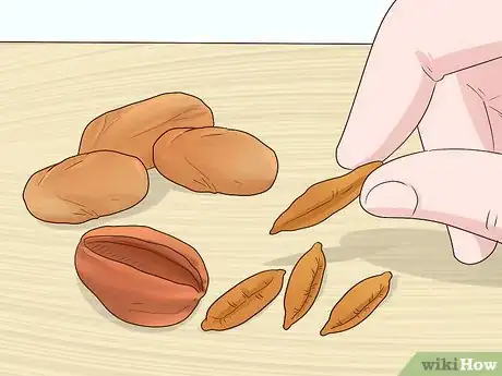 Image titled Plant Date Seeds Step 1