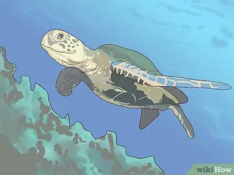 Image titled Visit SeaWorld San Diego Step 23