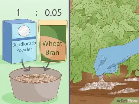 Image titled Control Locusts Step 3