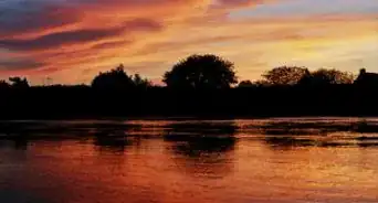 Get Into Film Photography on a Tight Budget