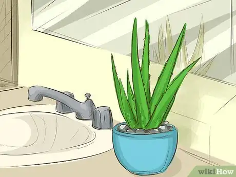 Image titled Choose Houseplants for the Bathroom Step 3