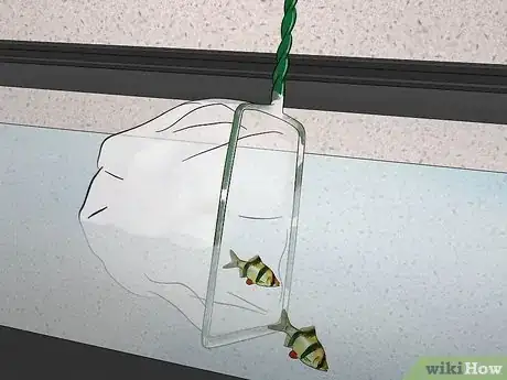 Image titled Acclimate Your Fish to a New Aquarium Step 9