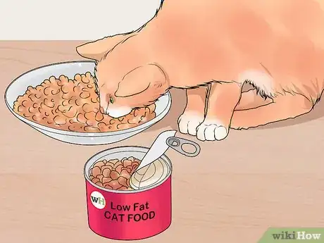 Image titled Diagnose and Treat Chylothorax in Cats Step 12