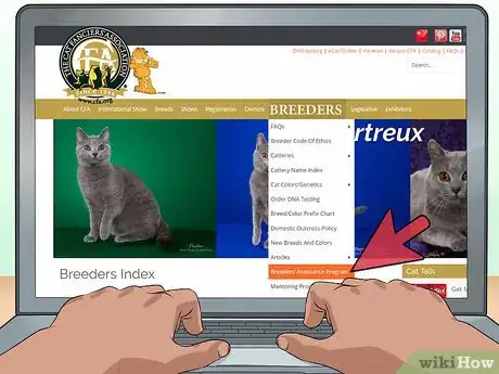 Image titled Identify an Exotic Shorthair Cat Step 12