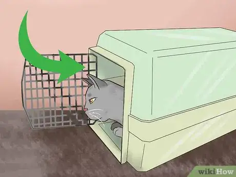 Image titled Take Care of Pets During a Hurricane Step 4