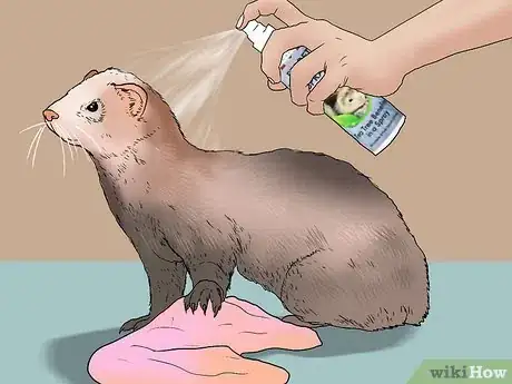 Image titled Raise Ferrets Together Step 9