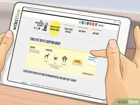 Image titled Adopt a Working Dog Step 3