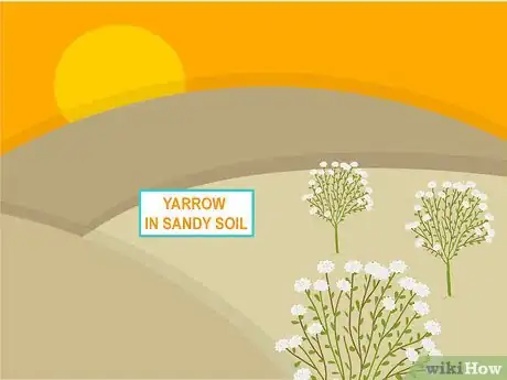 Image titled Plant in Poor Soils Step 11