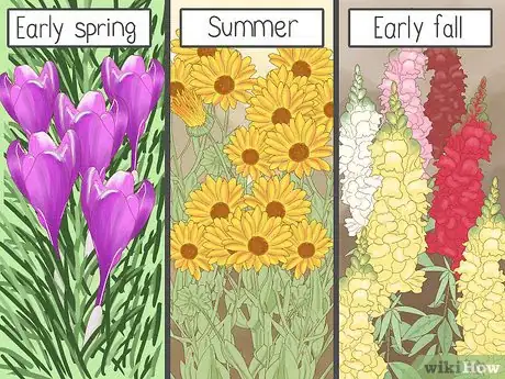 Image titled Create a Bee‐Friendly Garden Step 3