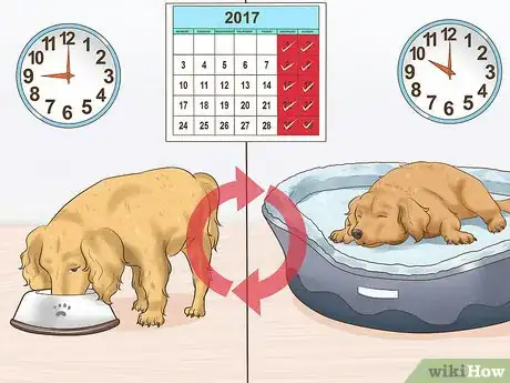Image titled Help a Dog Adjust to Your Household Routine Step 9