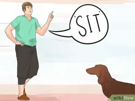 Image titled Teach a Dog to Read Sign Language Step 13