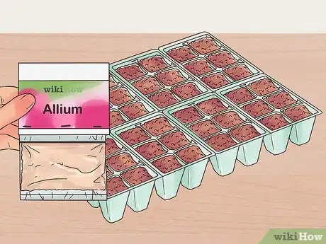 Image titled Grow Perennials From Seed Step 8