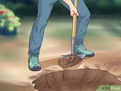 Image titled Plant Step 21