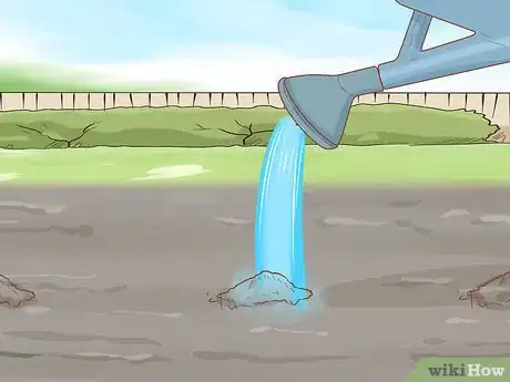 Image titled Grow Etlingera Elatior Step 6