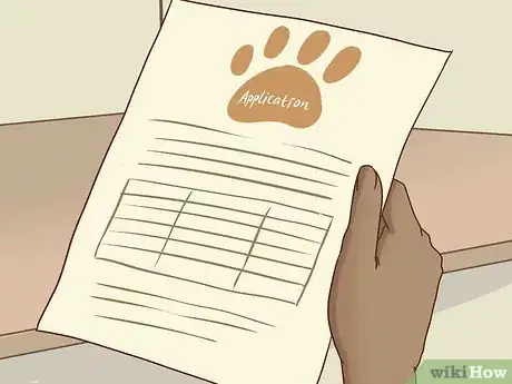 Image titled Adopt a Senior Dog Step 10