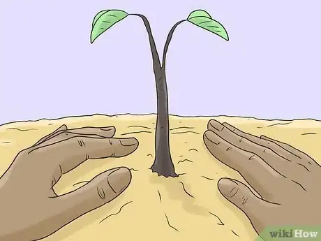 Image titled Protect Coral Reefs Step 7