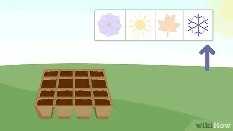 Image titled Plant Seeds in a Basic Seed Tray Step 1