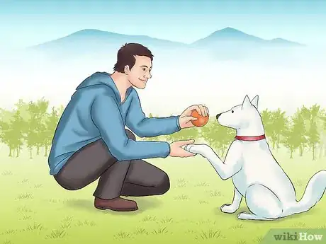 Image titled Train Teenager Stage Dogs Step 9