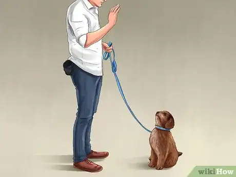 Image titled Introduce Training to a New Puppy Step 5